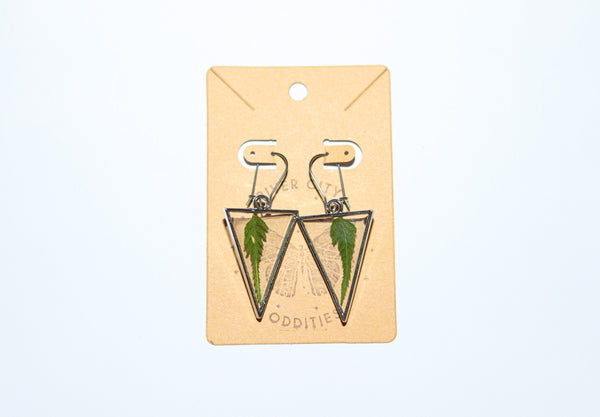River City Oddities Pressed Ferns Earrings