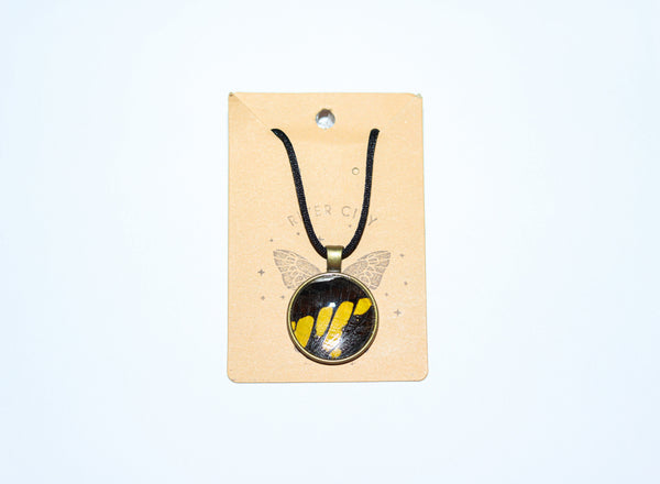 River City Oddities Giant Swallowtail Necklace