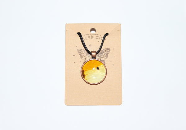River City Oddities Orange Tipped Butterfly Necklace