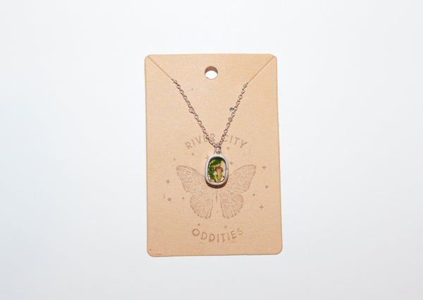 River City Oddities Preserved Moss and Mushroom Necklace