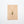 Load image into Gallery viewer, River City Oddities Preserved Moss and Mushroom Necklace