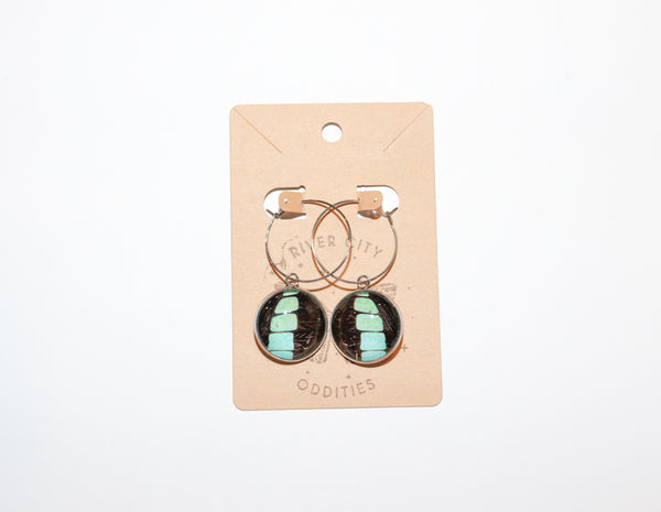 River City Oddities Bluebottle Butterfly Earrings