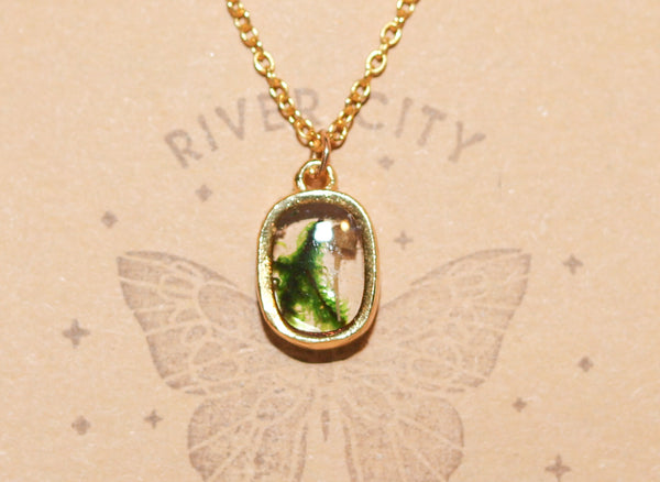 River City Oddities Preserved Moss and Mushroom Necklace