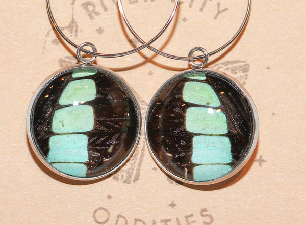 River City Oddities Bluebottle Butterfly Earrings
