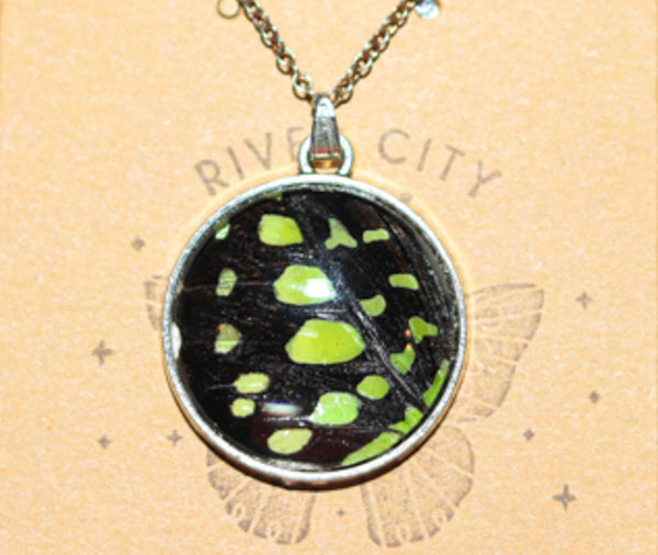 River City Oddities Tailed Jay Butterfly Necklace