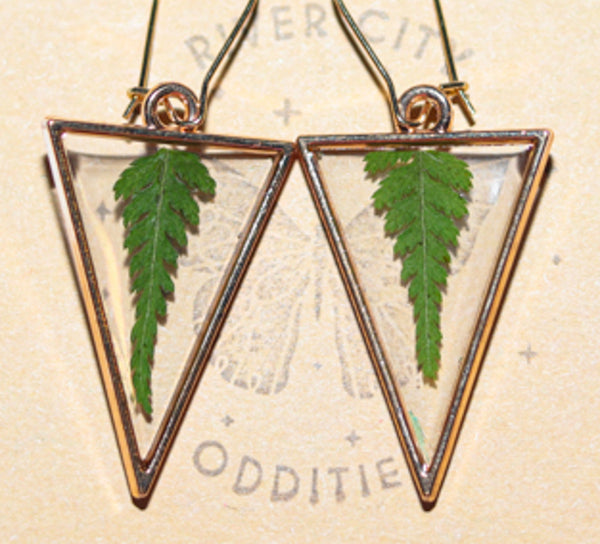 River City Oddities Pressed Ferns Earrings