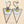 Load image into Gallery viewer, River City Oddities Pressed Daisies Earrings