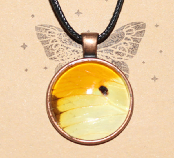 River City Oddities Orange Tipped Butterfly Necklace