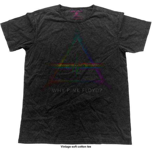 Pink Floyd Unisex Vintage T-Shirt: Why (XL)