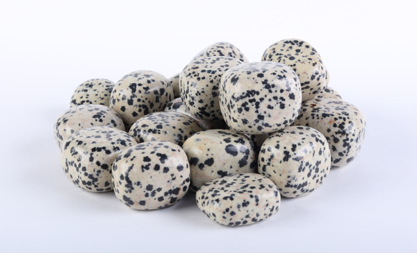 Dalmatian Jasper
