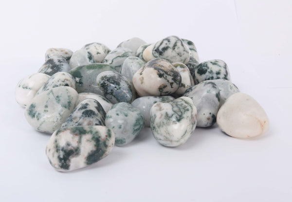 Tree Agate