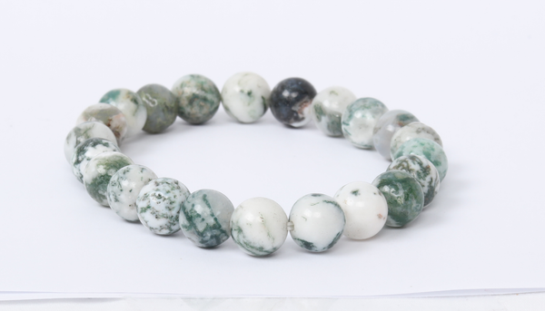 Tree Agate Bracelet 8mm