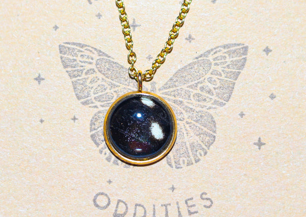 River City Oddities Blue Morpho Butterfly Necklace